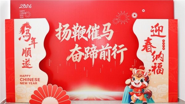 揚鞭催馬開新局，奮蹄前行譜華章——特力公司2025年度總結(jié)表彰大會圓滿舉行